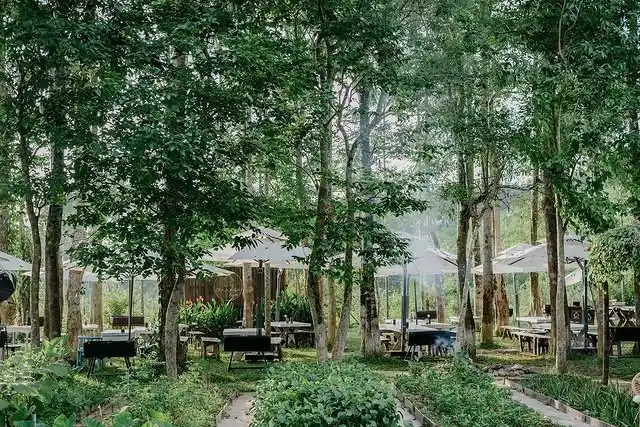 Kỷ yếu Đà Nẵng - Top 7 địa điểm chụp ảnh kỷ yếu đẹp ngoại thành Đà Nẵng 14 an nhien farm dia diem chup ky yeu