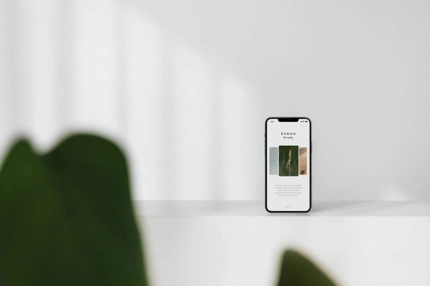 sarah dorweiler gIx3YO42hpM unsplash